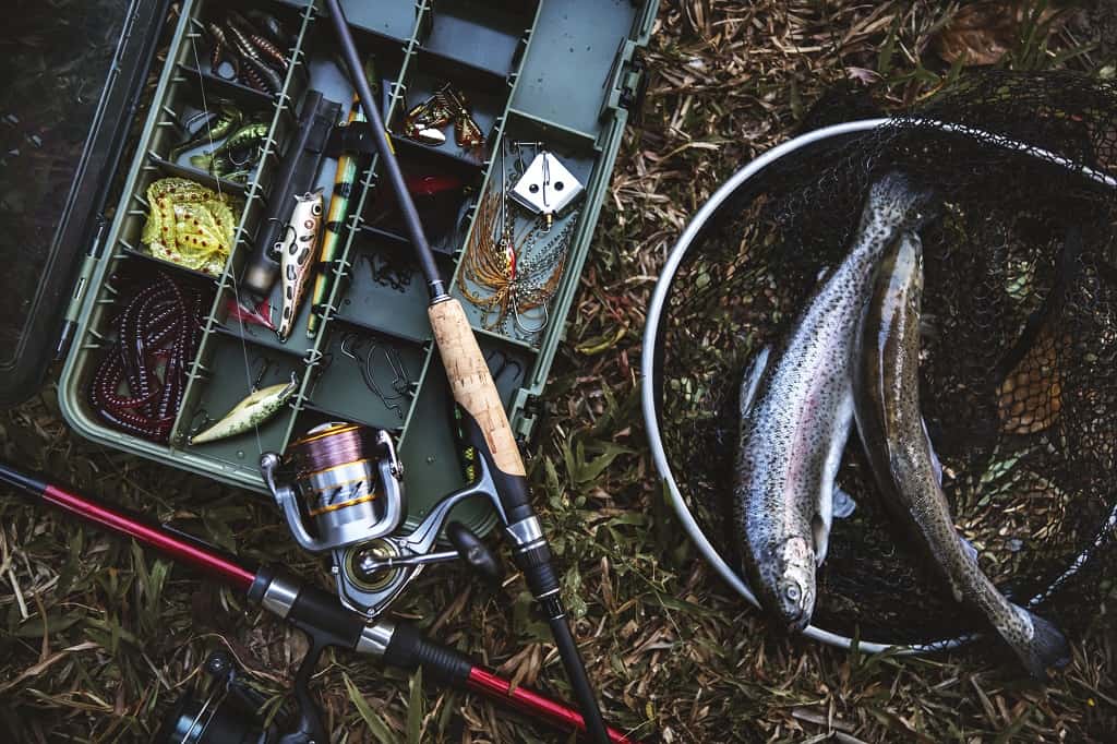 Fishing Gear List for Every Fish in The Water